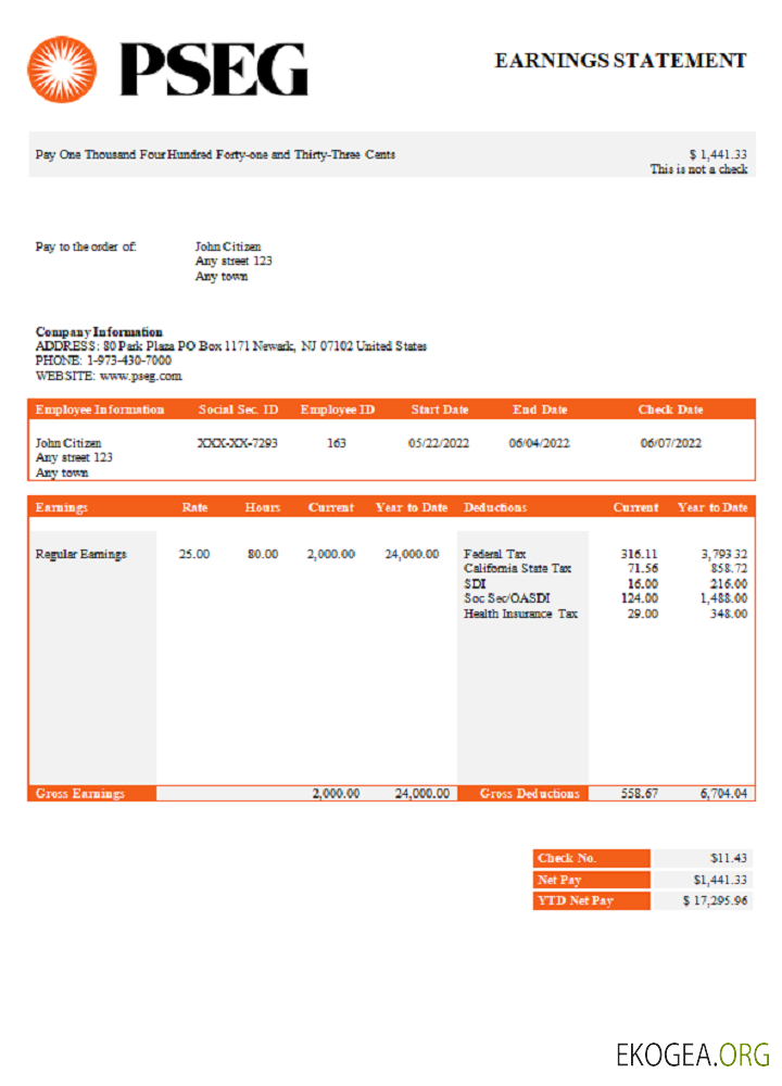 Fiche de paie d'une entreprise de services publics américaine PSEG